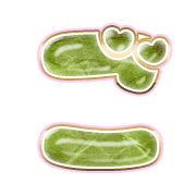 060
