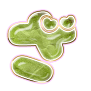 061