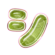 092