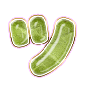 098