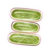 112