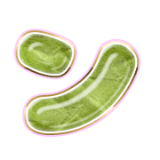 126