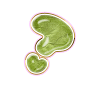 226