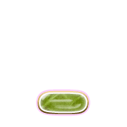 250
