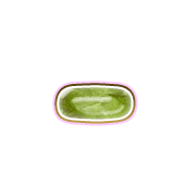 251