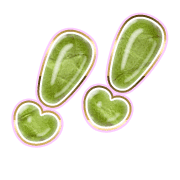 268