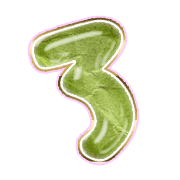 283