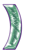 235