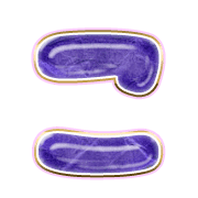 010