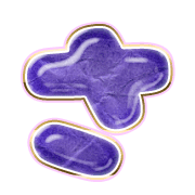 011