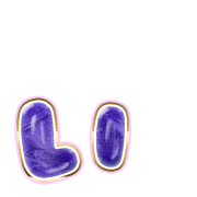 048