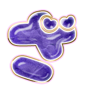 061