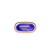 251