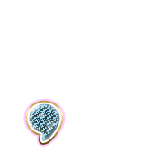 245