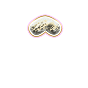 231