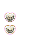 244
