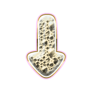 261