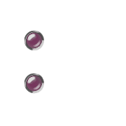 244