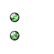 244