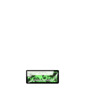 250