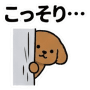 031