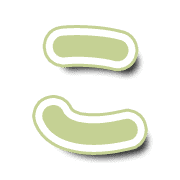 010