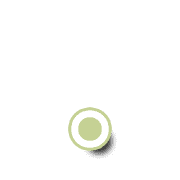 246