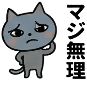 031