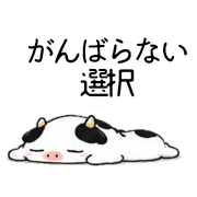 013