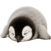 011