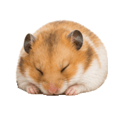 012