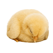 013