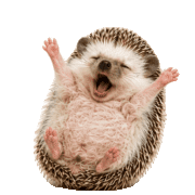 019
