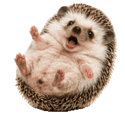 029