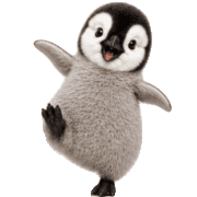 031