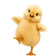 033