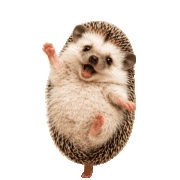 034