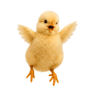 038