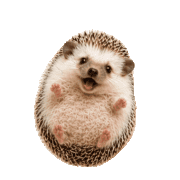 039