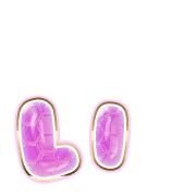 048