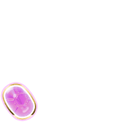 256