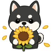 Kawaii Kuroshiba & Akashiba Summer Art รูปที่ 9