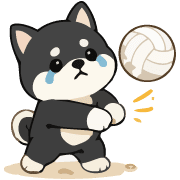 Kawaii Kuroshiba & Akashiba Summer Art รูปที่ 39