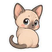029