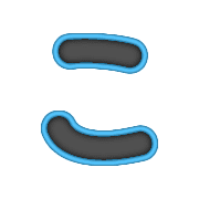 010
