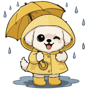 Fluffy White Maltipoo Holiday Dog Emoji รูปที่ 18