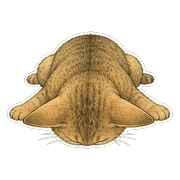 034