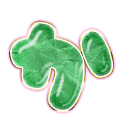 006