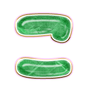 010