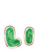 048